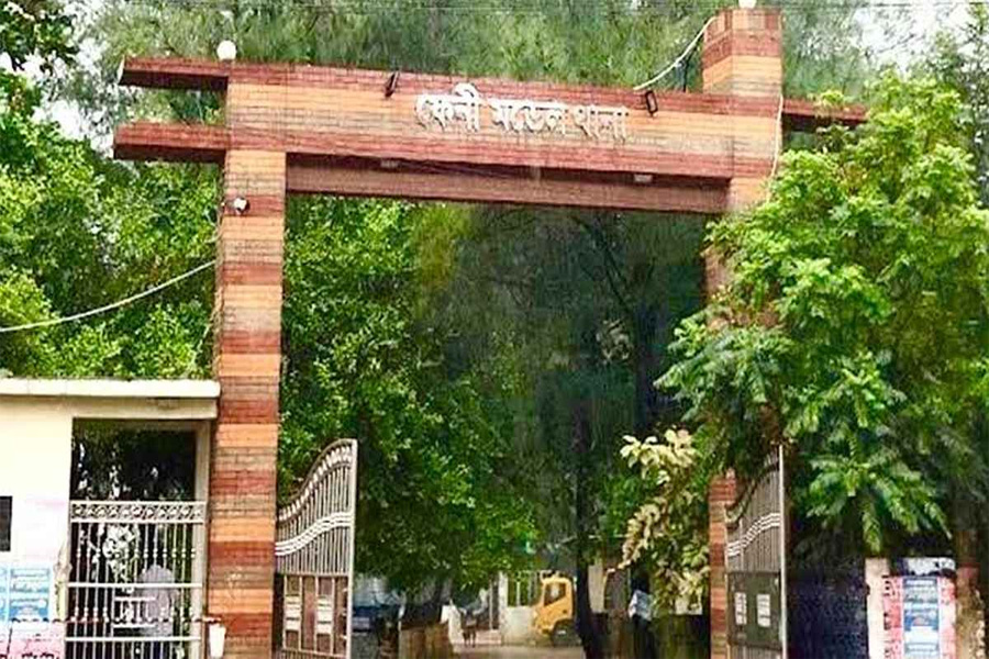 অস্ত্রের মুখে জিম্মি করে ব্যবসায়ীর গরু ছিনতাই