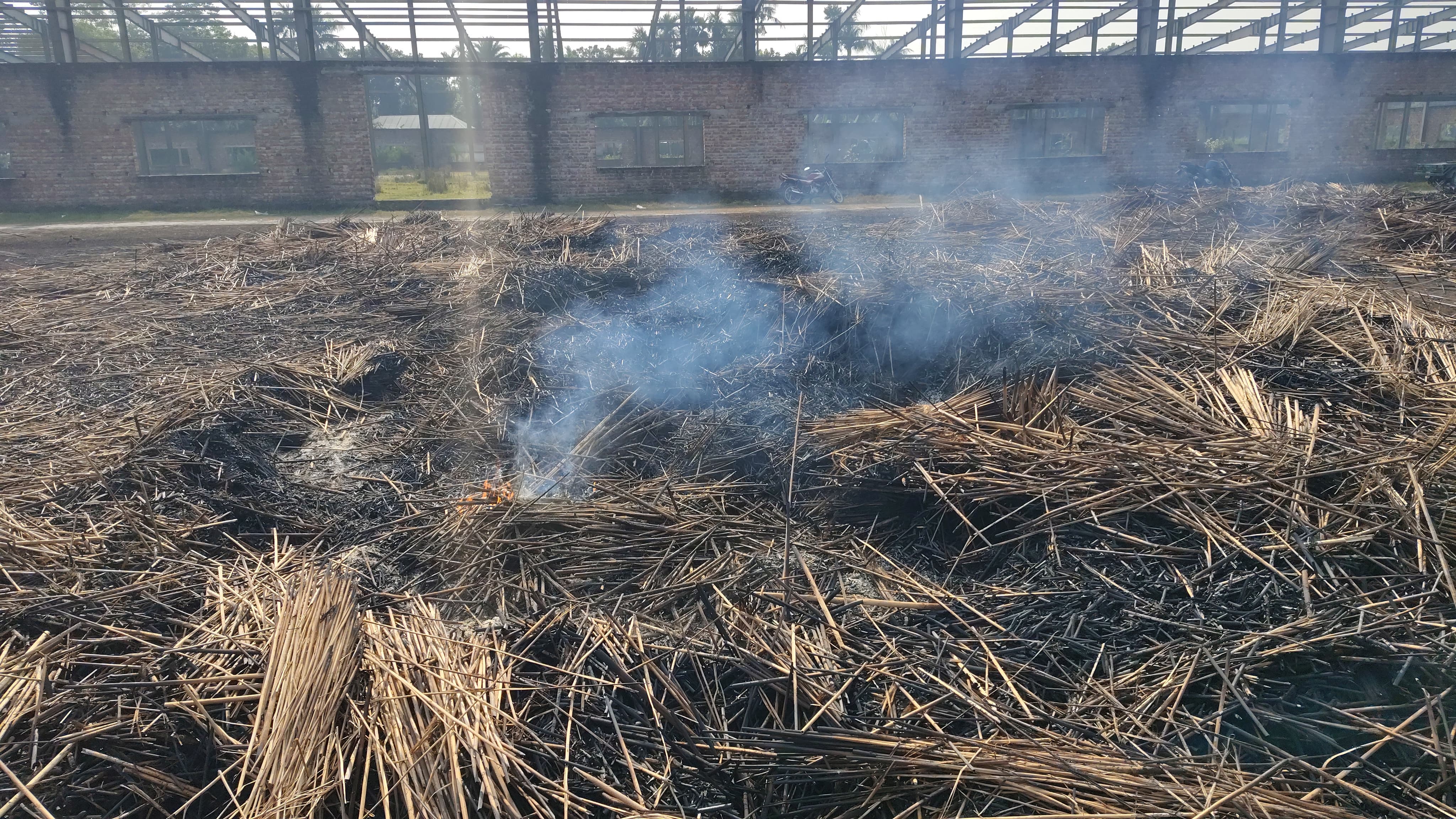 পাংশা পাটখড়ির পালানে অগ্নিসংযোগ, নিঃস্ব ব্যবসায়ী