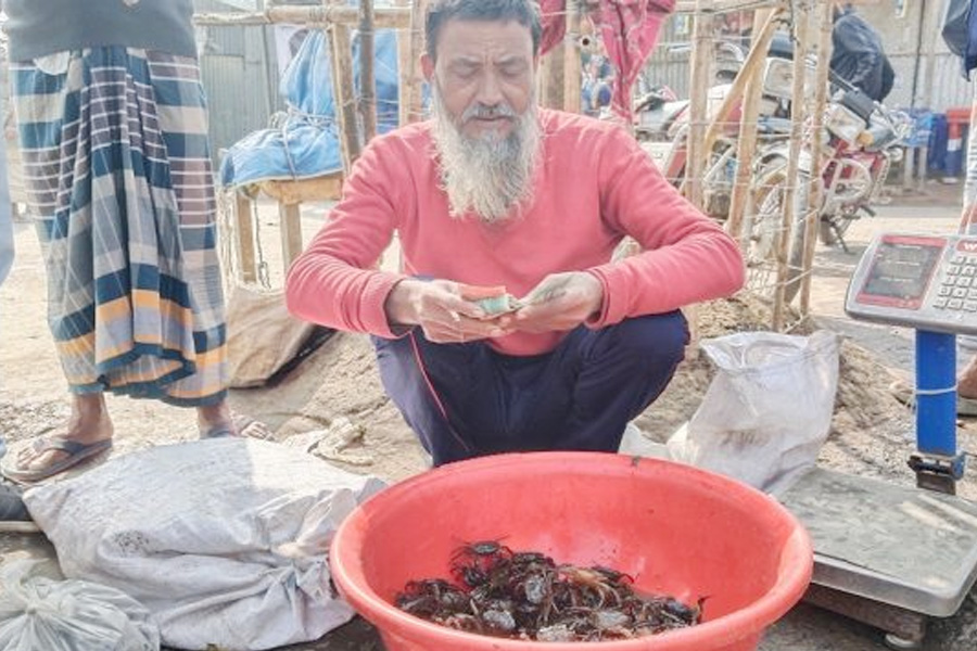 দুর্গাপুরে কাঁকড়া ক্রয়-বিক্রয় করে সংসার চলে সাাদেক আলীর