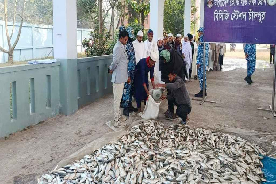 চাঁদপুরে যাত্রীবাহী লঞ্চ থেকে ৭ মেট্রিক টন জাটকা জব্দ