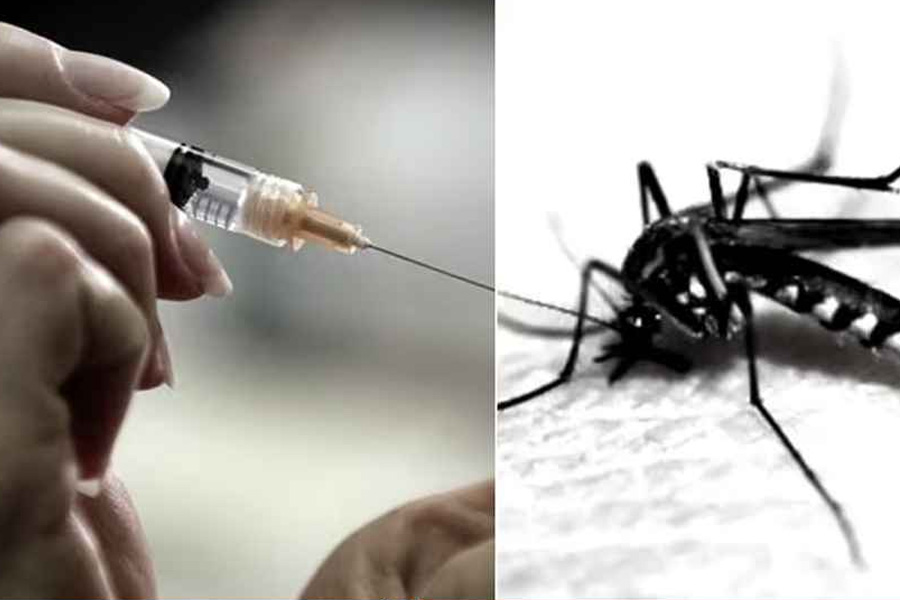 যুক্তরাষ্ট্রে চিকুনগুনিয়া টিকার লাইসেন্স স্থগিত