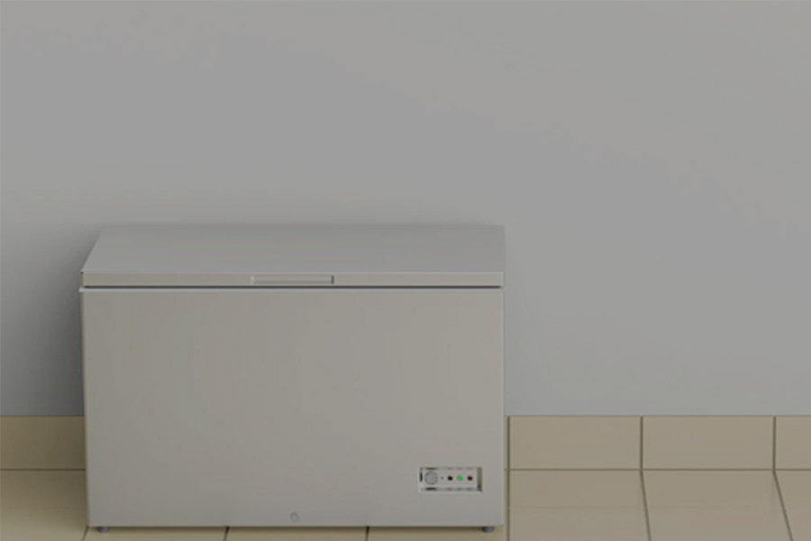 ২০ বছর ডিপ ফ্রিজে মেয়ের মরদেহ, বৃদ্ধা আটক