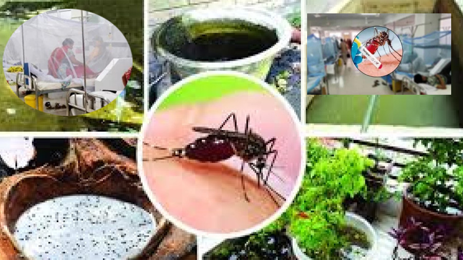 সতর্ক না থাকলে বিপদ ডেকে আনবে ‘পরিষ্কার পানি’