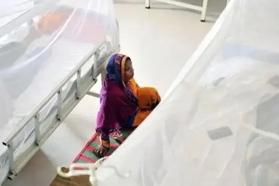 ডেঙ্গু আক্রান্ত রোগীদের চিকিৎসাসেবা চলছে হাসপাতালে। ছবি: সংগৃহীত