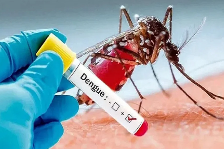 ডেঙ্গুতে আরও ১ জনের মৃত্যু, হাসপাতালে ৬৬৪