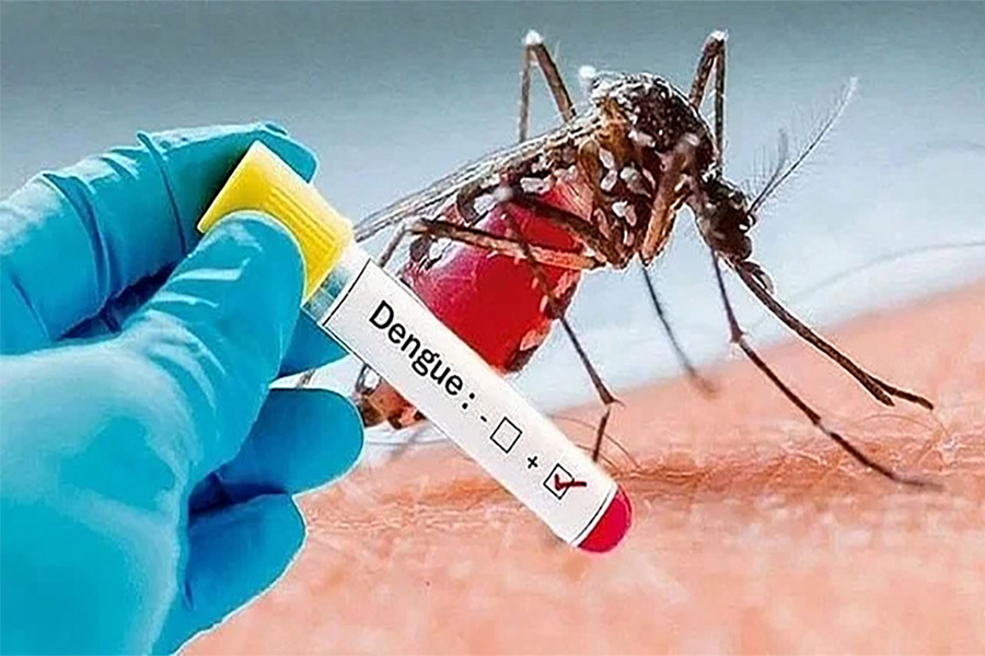 ডেঙ্গুতে আরও মৃত্যু ৩, হাসপাতালে ভর্তি ৬৮৫