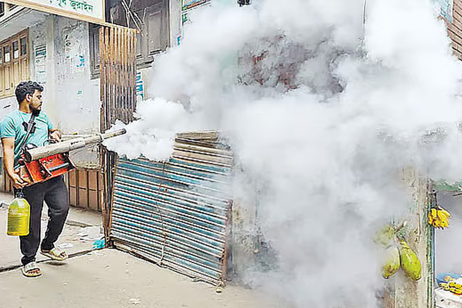 রাজধানীতে মশা নিধনে বিশেষ অভিযান শুরু