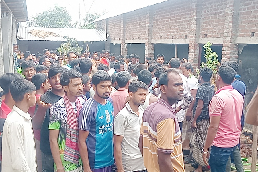 নবাবগঞ্জে ঘোড়ার মাংস জবাইয়ের সময় হাতেনাতে আটক ৩