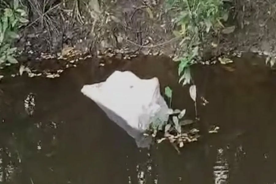 ছবি: ভিওডি বাংলা
