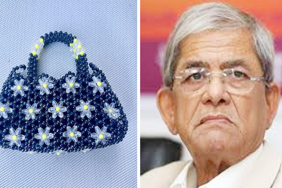 “কারাগারে মেয়ের ব্যাগ ও মামলার আবেগঘন পোস্ট”