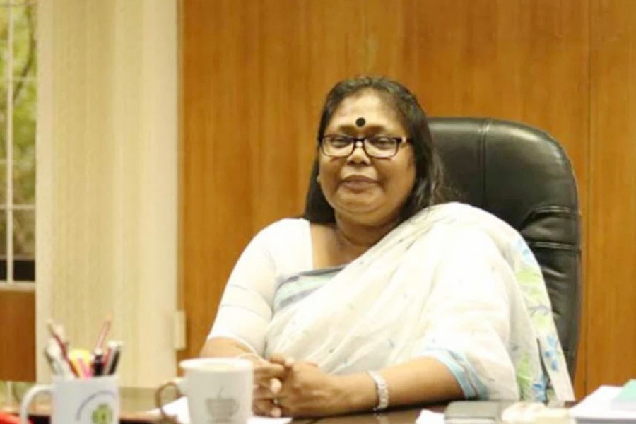 স্বামীসহ জাবির সাবেক উপাচার্যের আয়কর নথি জব্দের আদেশ