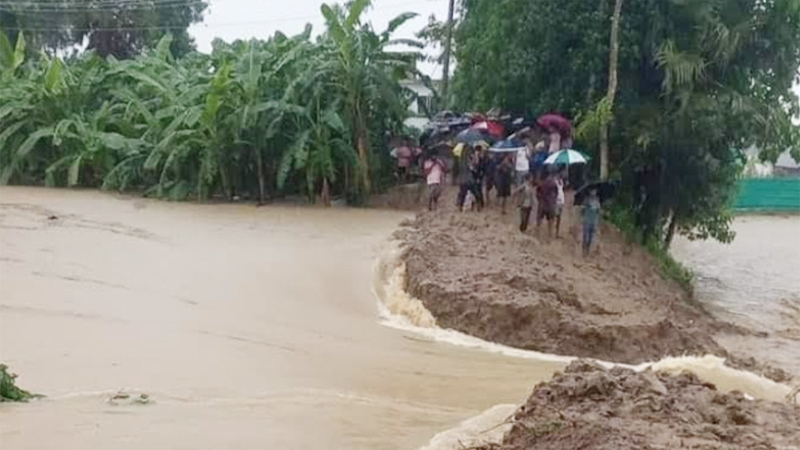 ফেনীতে বন্যা নিয়ন্ত্রণ বাঁধে ভাঙন, লোকালয়ে ঢুকছে পানি