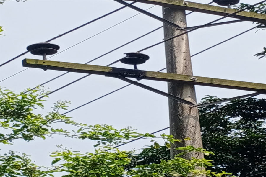 সাঘাটায় পল্লী বিদ্যুতের বেহাল দশা