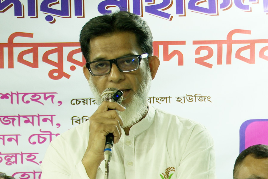 দেশকে সুস্থ করতে হলে গণতান্ত্রিক বাংলাদেশ গড়তে হবে:  হাবিব