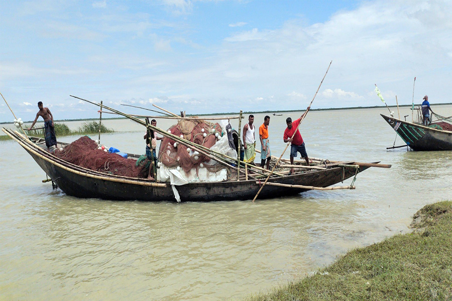 ভরা মৌসুমেও পদ্মা-মেঘনায় ইলিশ সংকট