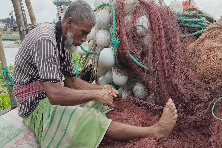 ৪ অক্টোবর থেকে ২২ দিন ইলিশ ধরা বন্ধ