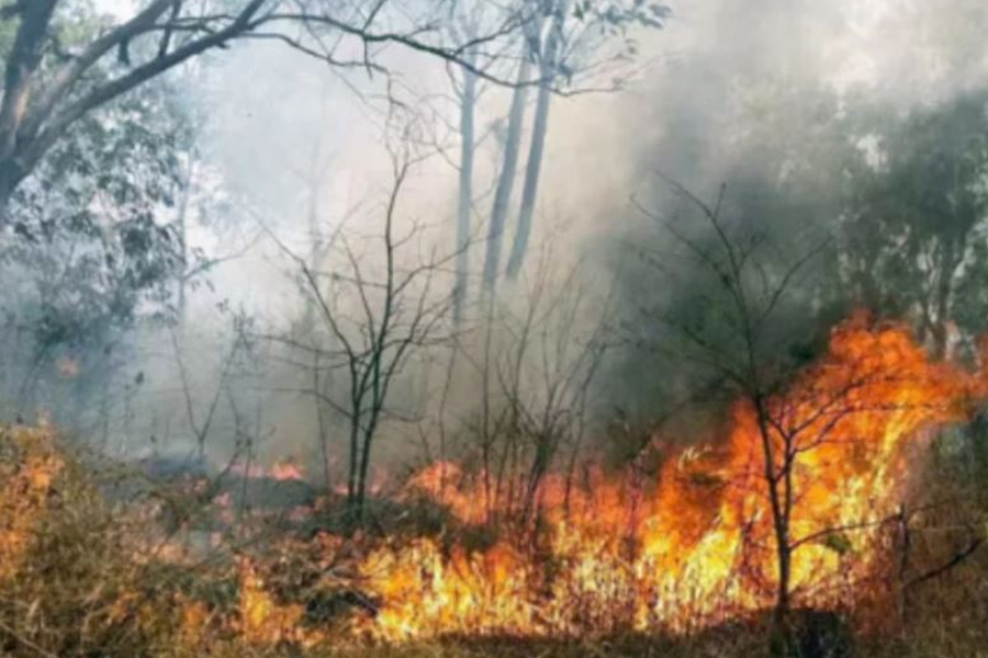 দাবানলে জ্বলছে ভারতের ঝাড়খণ্ড