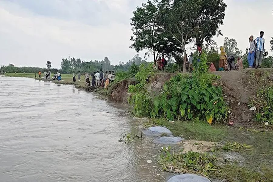 যমুনার তীব্র ভাঙনে বগুড়ার ধুনট উপজেলার নদীতীরবর্তী এলাকায় বিলীন হচ্ছে বসতভিটা ও ফসলি জমি। ছবি: ভিওডি বাংলা