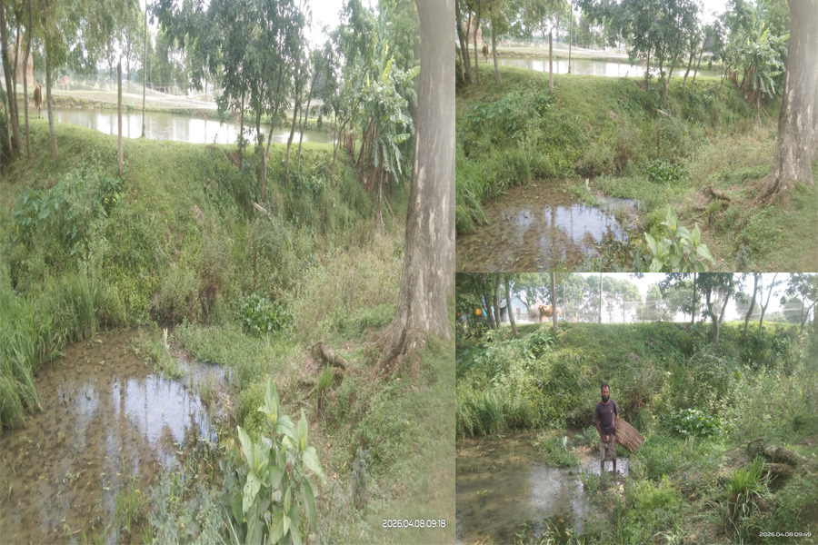 কেন্দুয়ায় খালের ওপর স্থায়ী কালভার্ট না থাকায় চরম ভোগান্তিতে স্থানীরা