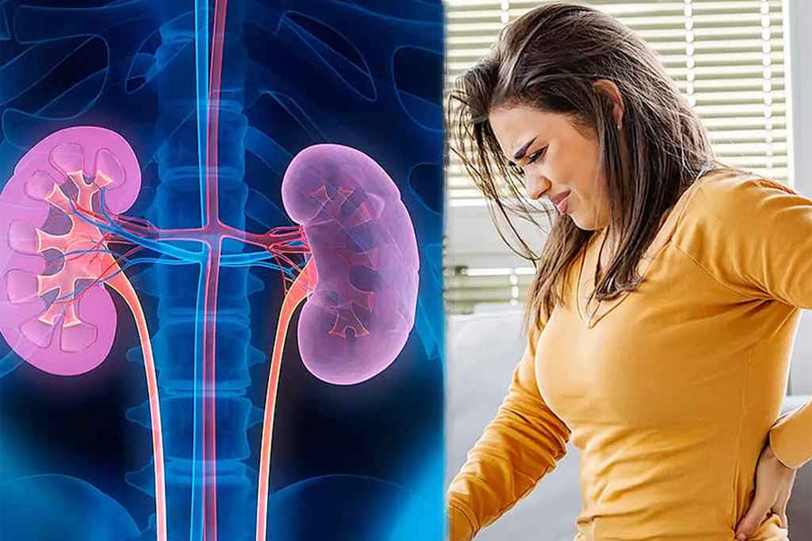 যেসব পেশায় বেশি কিডনি সমস্যার ঝুঁকি এবং করণীয়