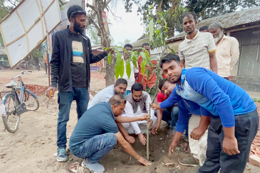 তারেক রহমানের নির্দেশনায় দেশব্যাপী বৃক্ষরোপণ কর্মসূচি