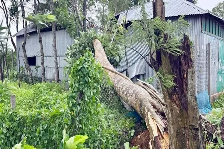 ২৪ ঘণ্টা বিদ্যুৎহীন মাদারগঞ্জবাসী