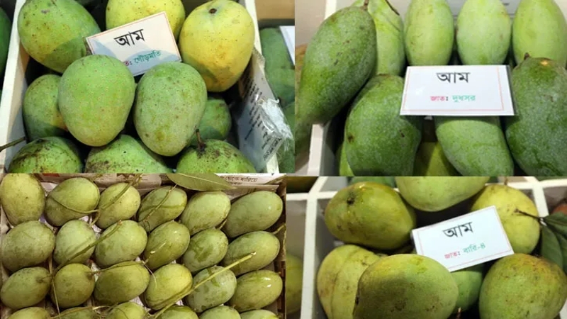 আম রপ্তানিতে উজ্জ্বল সম্ভাবনা