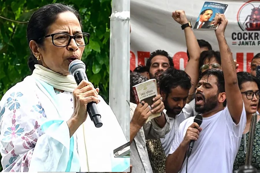 তৃণমূল কংগ্রেসের সভানেত্রী মমতা বন্দ্যোপাধ্যায়। ছবি: সংগৃহীত
