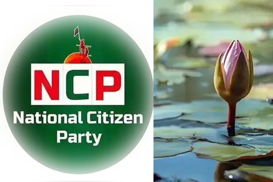 নির্বাচনের আগ মুহূর্তে এনসিপির ১৩ নেতার পদত্যাগ