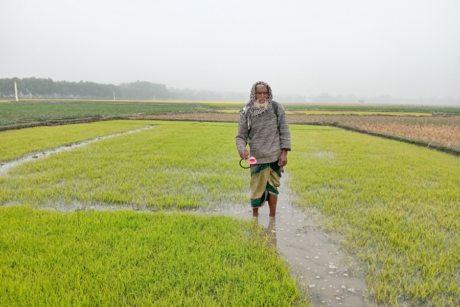 ঘন কুয়াশা ও তীব্র শীতে বিপর্যস্ত জনজীবন