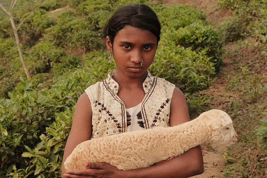 বিশ্বমঞ্চ ঘুরে এবার বাংলাদেশে ‘নিশি’
