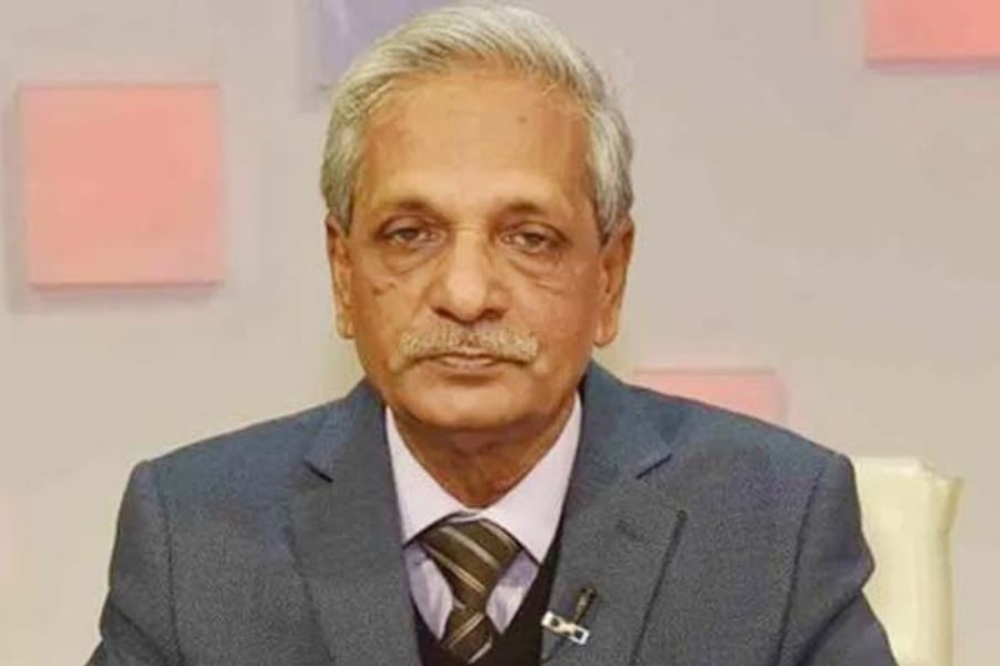 সংস্কৃতি বিষয়ক মন্ত্রী নিতাই রায় চৌধুরী। ছবি: ভিওডি বাংলা