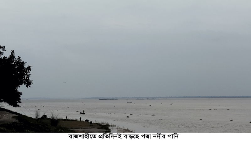 রাজশাহীতে প্রতিদিনই বাড়ছে পদ্মা নদীর পানি