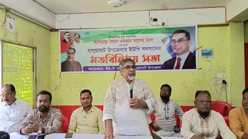বিএনপি স্থানীয় সরকারকে শক্তিশালী করতে চায়: এমরান সালেহ প্রিন্স