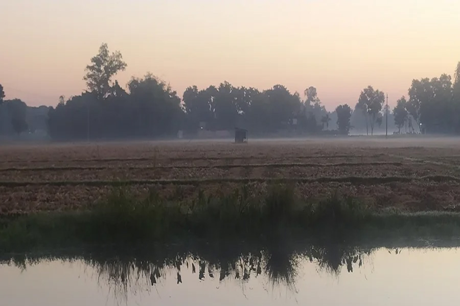 পঞ্চগড়ে শীতের তীব্রতা বাড়ছে, তাপমাত্রা ১৩ ডিগ্রিতে