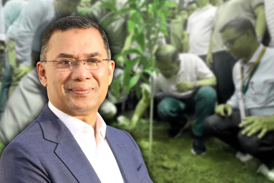 আজ শিক্ষাপ্রতিষ্ঠানে বৃক্ষরোপণ কর্মসূচির উদ্বোধন করবেন প্রধানমন্ত্রী