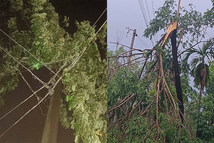 মিরসরাইয়ে ঝড়ে গাছ উপড়ে ও তার ছিঁড়ে বিদ্যুৎ বিচ্ছিন্ন