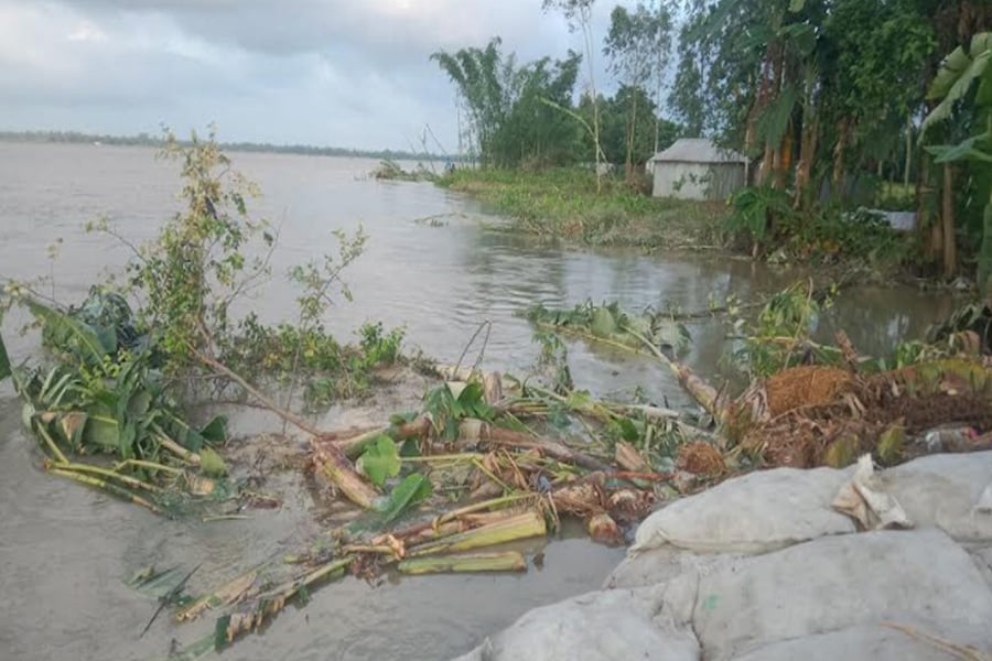 ‘শেষমেশ বাড়িভিটাটাও তিস্তায় গেল, এখন মাথা গোঁজার ঠাঁই চাই’