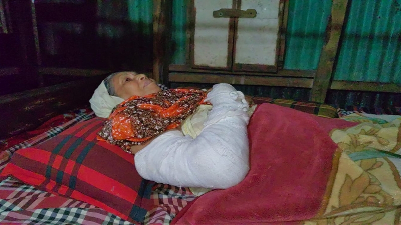 রাজৈরে বৃদ্ধাকে পেটানোর ঘটনায় গ্রেপ্তার ২