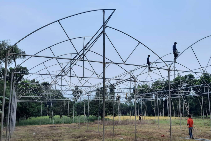 বাঘায় তৈরী করা হচ্ছে পলি হাউজ, শীতের সবজি মিলবে গরমে!