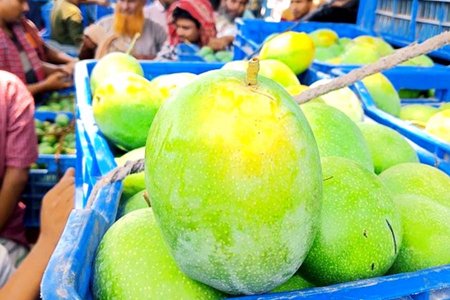 রাজশাহীতে আম বেচাকেনায় ‘ঢলন’ প্রথা বন্ধের সিদ্ধান্ত