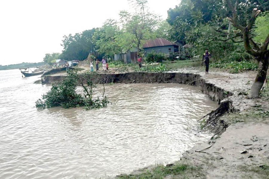 রাজশাহীর বাঘায় ১ সপ্তাহে পদ্মার গর্ভে বিলীন ১৫ বাড়ি