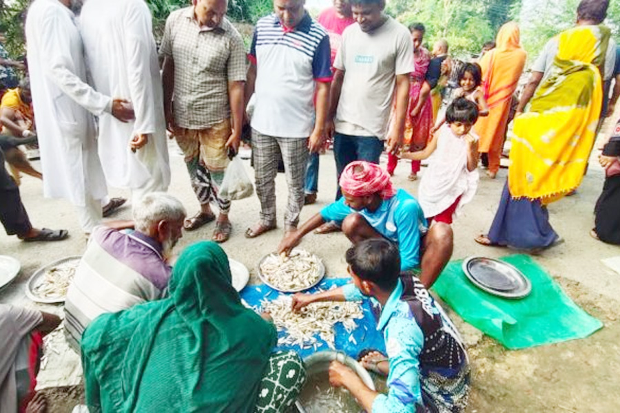 রাজশাহীতে প্রাতঃকালীন বাজারে পদ্মার মাছ সস্তায় মিলছে