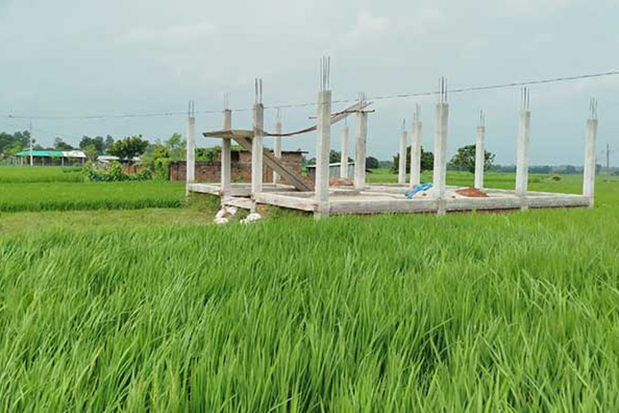 বরেন্দ্র অঞ্চলে ১৭ বছরে কমেছে ৯০ হাজার হেক্টর ফসলী জমি