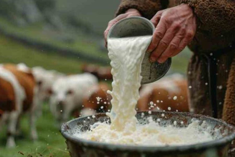 কাঁচা দুধের চিজে টিকে থাকতে পারে বার্ড ফ্লু ভাইরাস