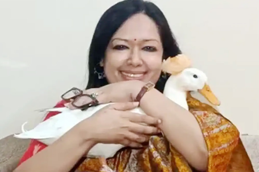 হাঁস কোলে নিয়ে স্মৃতিচারণ করলেন রুমিন ফারহানা