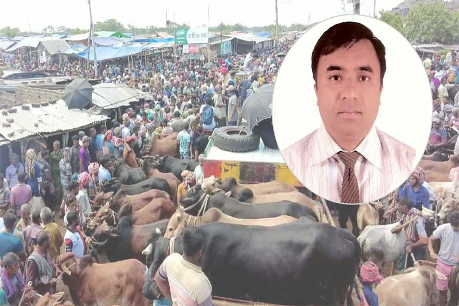 কোরবানির পশু থেকে মানুষে ছড়াতে পারে প্রাণঘাতী রোগ
