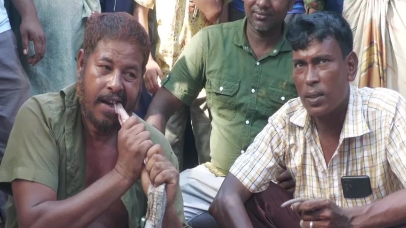 সাপুড়ের মৃত্যুর পর সাপকে কাঁচা চিবিয়ে খেয়ে ফেললেন আরেক সাপুড়ে