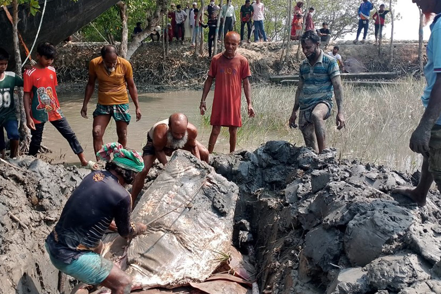 ৪১০ কেজি পাতা মাছ জব্দ, আটক ২২ জেলে