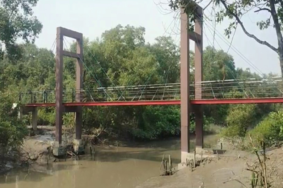 সুন্দরবনে প্রবেশ করতে দফায় দফায় ঘুষ দিতে হয় ৫ বন কর্মকর্তাকে